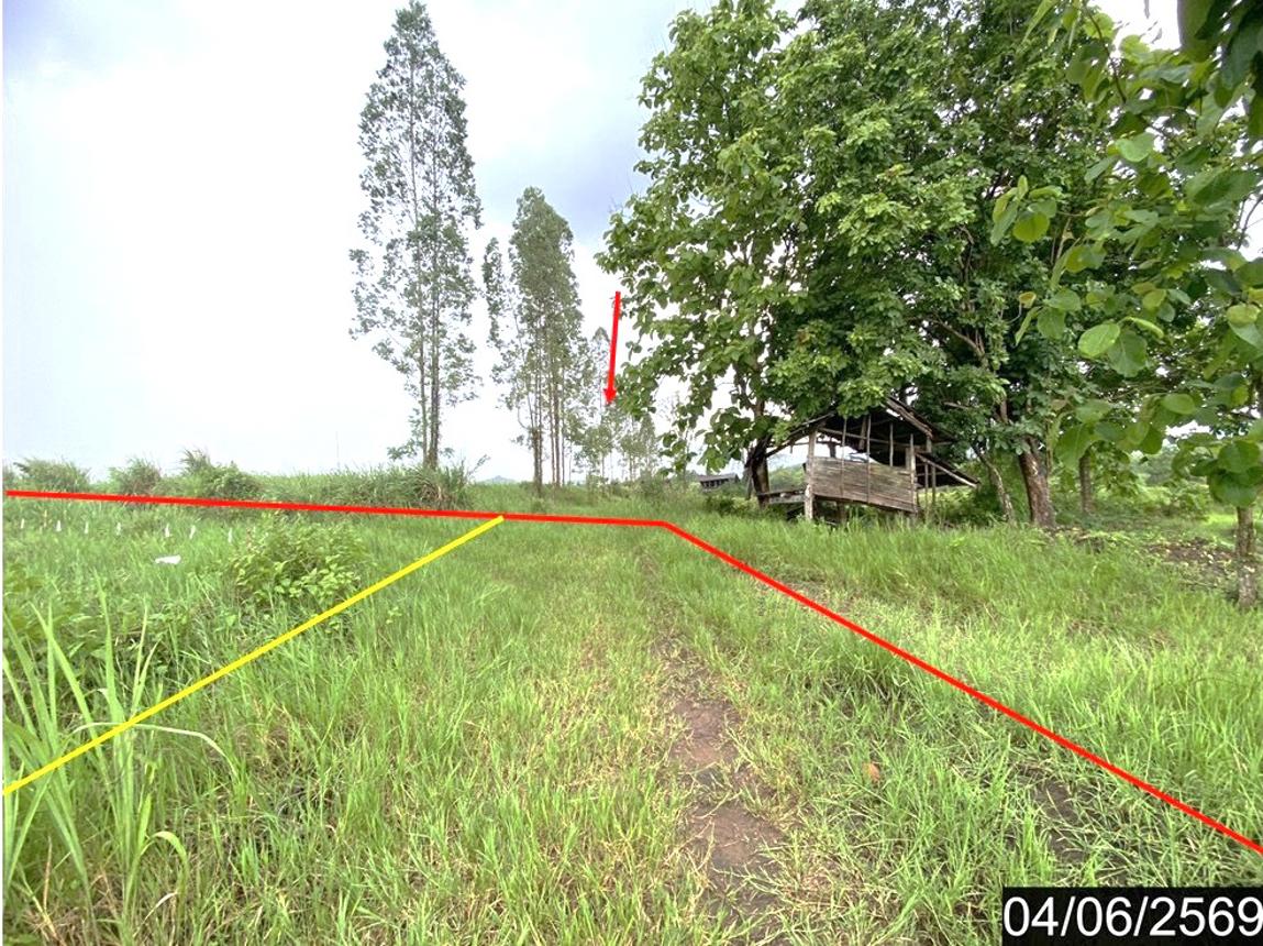 รูป ที่ดินว่างเปล่า 5579.1 ตร.วา ท่าลี่ เลย 1.5M - รูปที่ 6/14