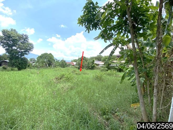 picture LAND 187.9 Sq.w. Tha Li Loei for 808,000 - 7/18