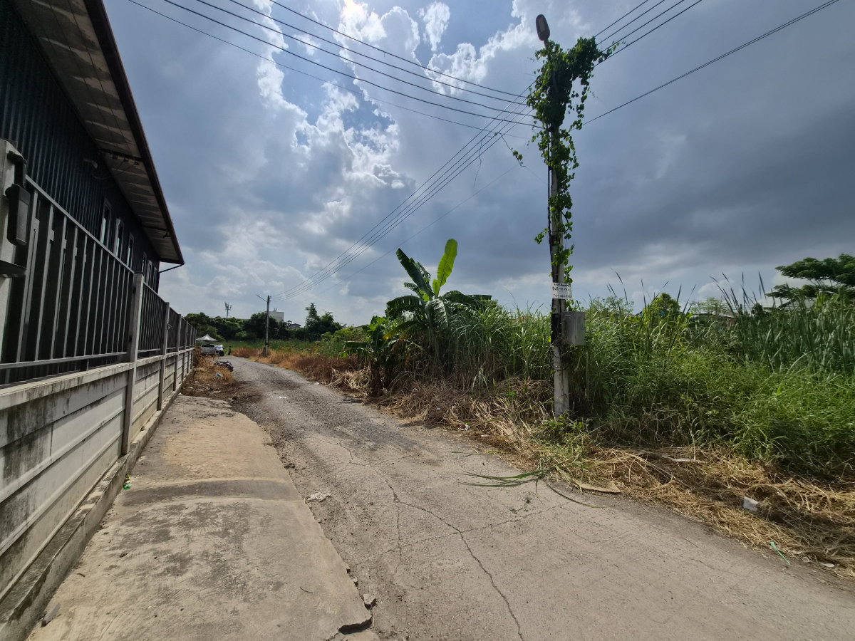 รูป ขายที่ดินเปล่า 92 ตร.ว.ซ.ไสวประชาราษฎร์11 ถ.ไสวประชาราษฎร์ คลอง4 ต.ลาดสวาย  อ.ลำลูกกา  จ.ปทุมธานี ใกล้A.C. Market ลำลูกกา คลอง 4 - รูปที่ 5/6