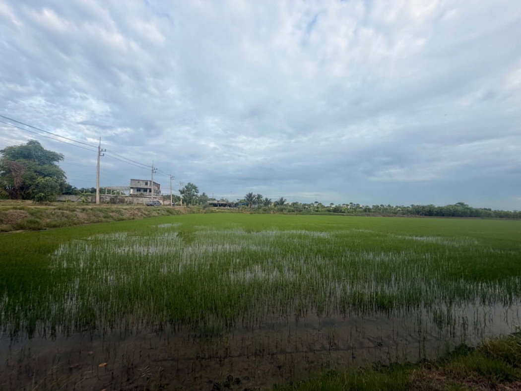 picture Beautiful large plot of land for sale, 26 rai, Mueang Pathum Thani District, Pathum Thani Province. - 3/11