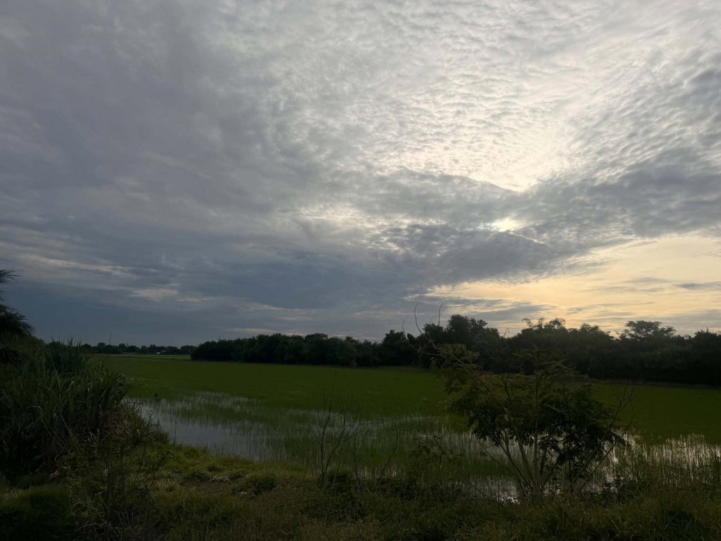 picture Beautiful large plot of land for sale, 26 rai, Mueang Pathum Thani District, Pathum Thani Province. - 6/11