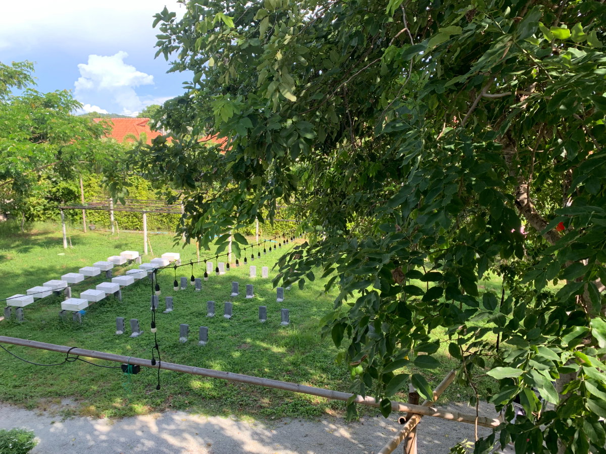 picture Café for Lease | Si Racha – Bang Phra, Chonburi - 10/20