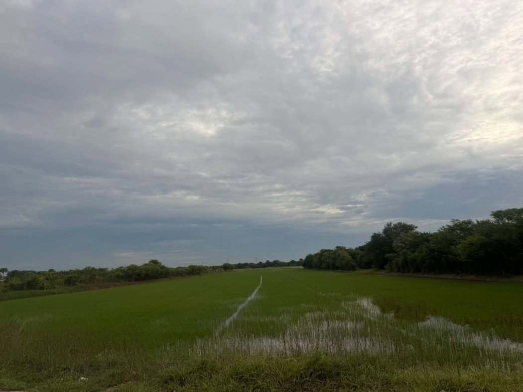 picture Beautiful large plot of land for sale, 26 rai, Mueang Pathum Thani District, Pathum Thani Province. - 11/11