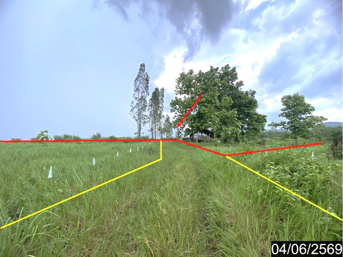 รูป ที่ดินว่างเปล่า 5579.1 ตร.วา ท่าลี่ เลย 1.5M - รูปที่ 7/14