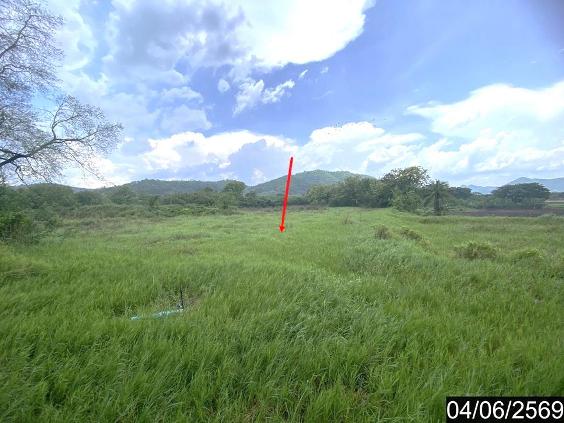 รูป ที่ดินว่างเปล่า 5579.1 ตร.วา ท่าลี่ เลย 1.5M - รูปที่ 10/14