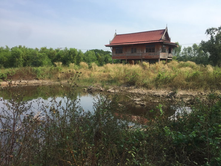 รูป ขายที่ดิน 2.71ไร่ พร้อมบ้านไม้เก่า - รูปที่ 5/10