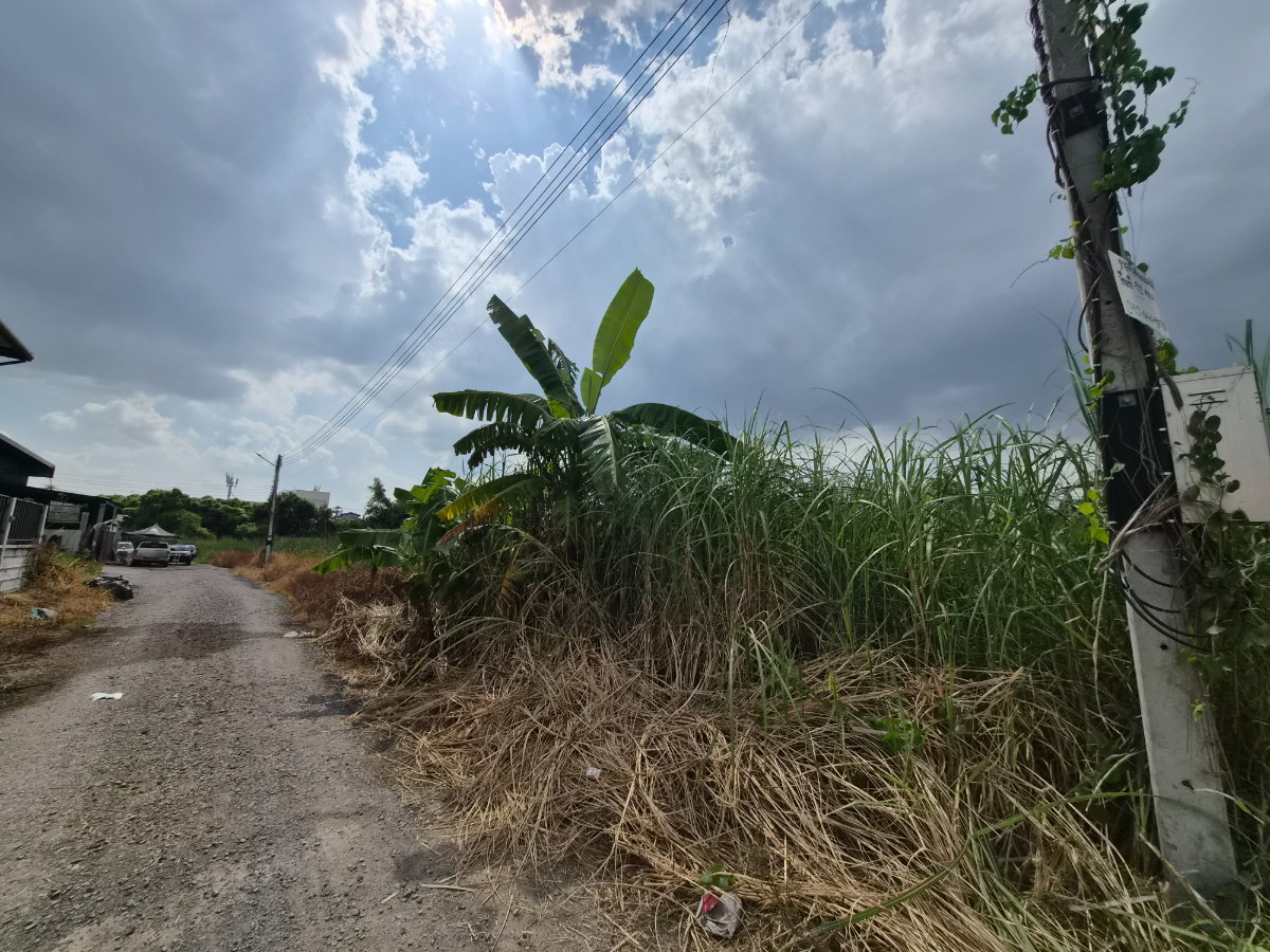 รูป ขายที่ดินเปล่า 92 ตร.ว.ซ.ไสวประชาราษฎร์11 ถ.ไสวประชาราษฎร์ คลอง4 ต.ลาดสวาย  อ.ลำลูกกา  จ.ปทุมธานี ใกล้A.C. Market ลำลูกกา คลอง 4 - รูปที่ 2/6