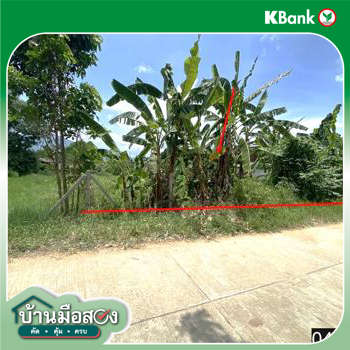 picture LAND 187.9 Sq.w. Tha Li Loei for 808,000 - 16/18