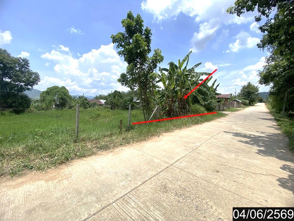 picture LAND 187.9 Sq.w. Tha Li Loei for 808,000 - 10/18