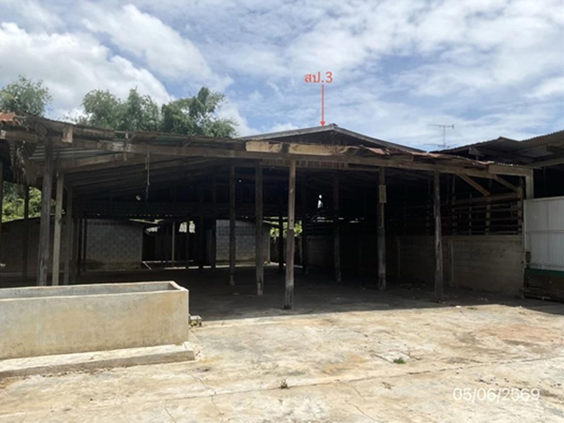 รูป บ้านเดี่ยว 3169 ตร.วา พนมทวน กาญจนบุรี 5.1M - รูปที่ 31/44
