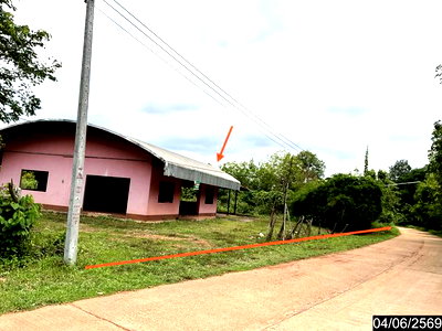 ขายบ้านเดี่ยว : บ้านเดี่ยว 1682 ตร.วา ศรีวิไล บึงกาฬ 4.3M