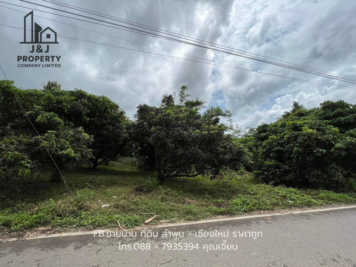รูป ขายที่ดินทำเลดี ติดถนน วิวเขา น้ำไฟมีพร้อม - รูปที่ 4/9