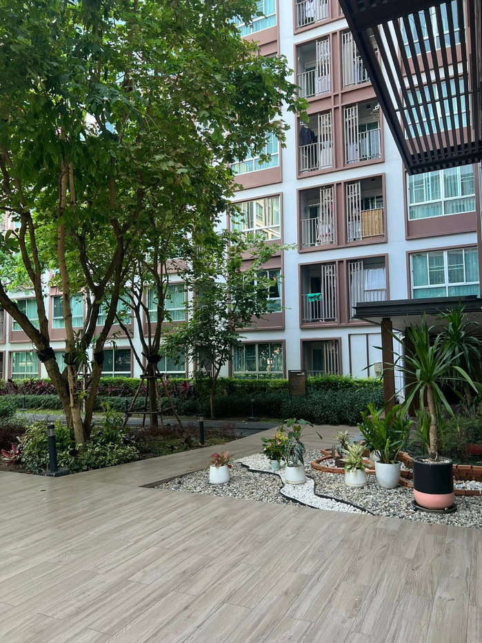 รูป โอกาสทอง! ดีคอนโด พิงค์ เชียงใหม่ (D Condo Ping) ย่านทำเลทอง ฟ้าฮ่าม - รูปที่ 8/9