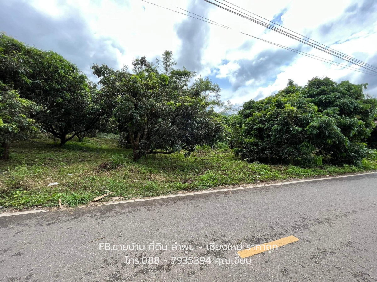 รูป ขายที่ดินทำเลดี ติดถนน วิวเขา น้ำไฟมีพร้อม - รูปที่ 6/9