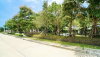 listing thumbnail image 22