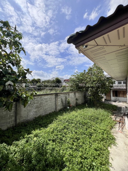 รูป ให้เช่าที่ดินพร้อมบ้านสองหลัง ซอยรามอินทรา14แยก8 เหมาะอยู่อาศัย ทำโกดังคลังสินค้า ออฟฟิศ ราคา43,000.-/ด.ใกล้สถานีรถไฟฟ้าสถานีมัยลาภเพียง750ม.จากปากซอย - รูปที่ 8/19