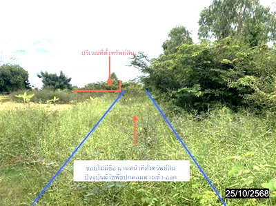 ที่ดินว่างเปล่า 55.3 ตร.วา เมืองพิษณุโลก พิษณุโลก 332,000