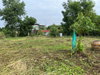 listing thumbnail image 24