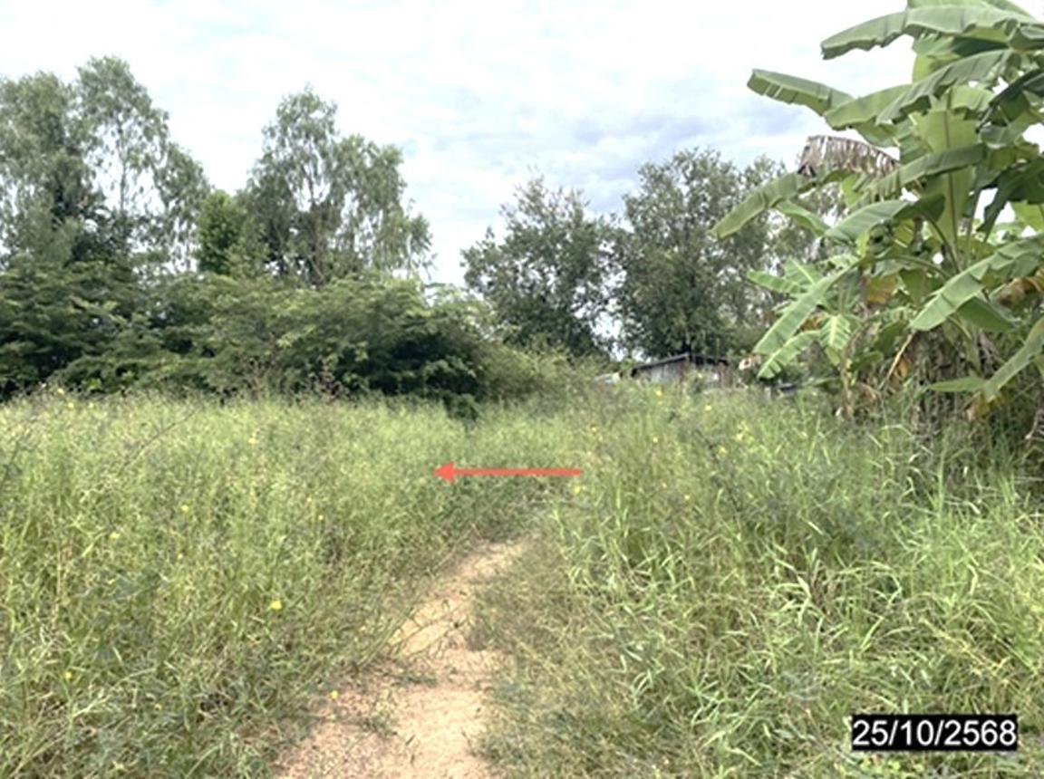 รูป ที่ดินว่างเปล่า 55.3 ตร.วา เมืองพิษณุโลก พิษณุโลก 332,000 - รูปที่ 6/10