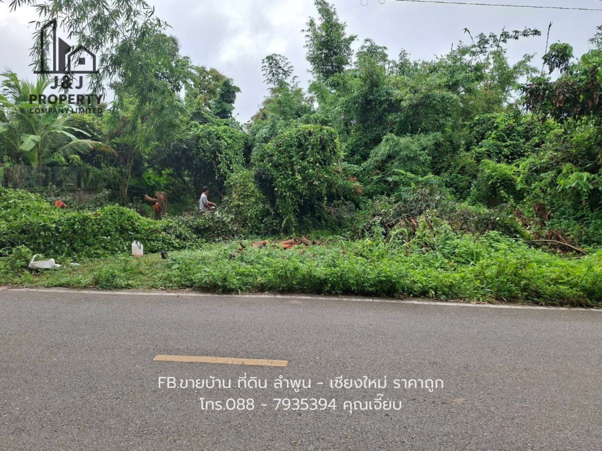 รูป ขายที่ดินทำเลดี ติดถนน วิวเขา น้ำไฟมีพร้อม - รูปที่ 2/9