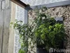 listing thumbnail image 15