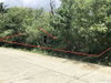 listing thumbnail image 10