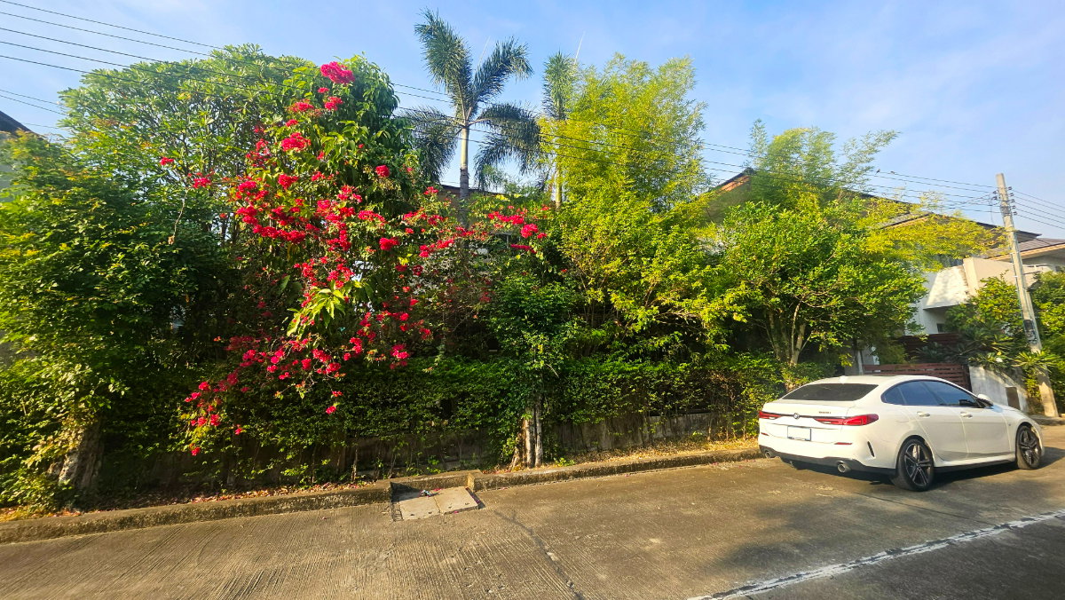 รูป บ้านเดี่ยวหลังใหญ่ 90 ตร.วา ตกแต่งบิวท์อินทั้งหลัง พร้อมเข้าอยู่!  หมู่บ้านเดอะเวอรีเดียน โฮม กาญจนาภิเษก ทำเลติดถนนใหญ่ - รูปที่ 2/23