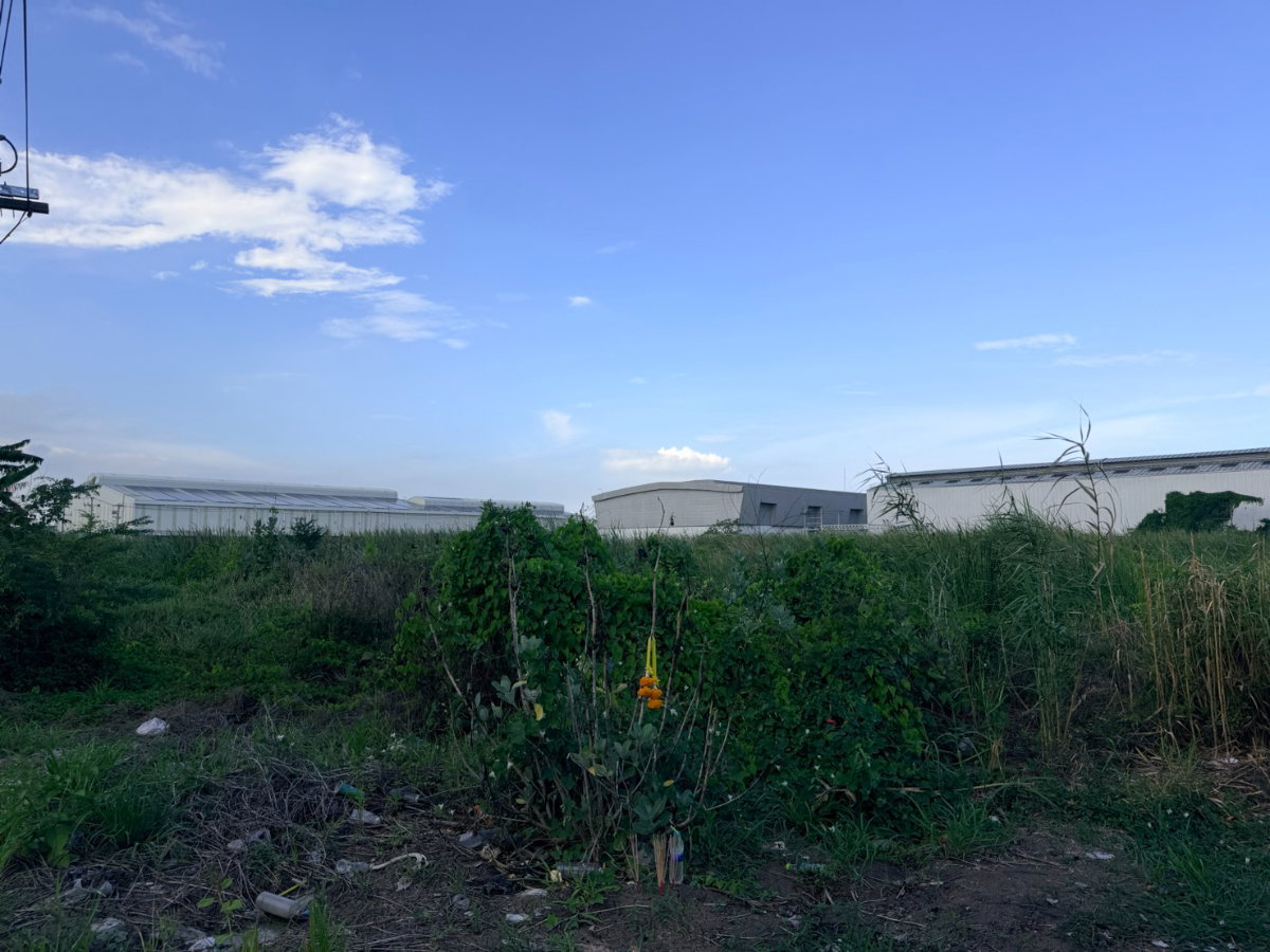 picture Land for SELL 11-2-40 RAI (Rare Item) - 4/4