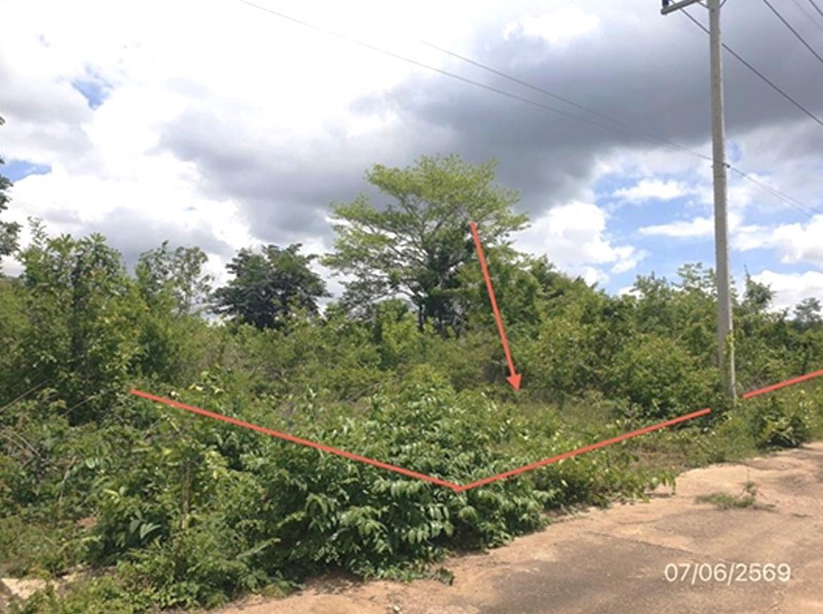 รูป ที่ดินว่างเปล่า 330 ตร.วา บ้านสวนอรุณรุ่ง เมืองลำปาง ลำปาง 704,000 - รูปที่ 12/24