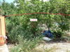 listing thumbnail image 14
