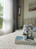 listing thumbnail image 36