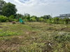 listing thumbnail image 14