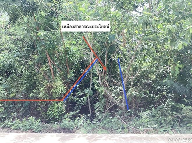 picture LAND 1662 Sq.w. Kui Buri Prachaubkirikhan for 831,000 - 4/14
