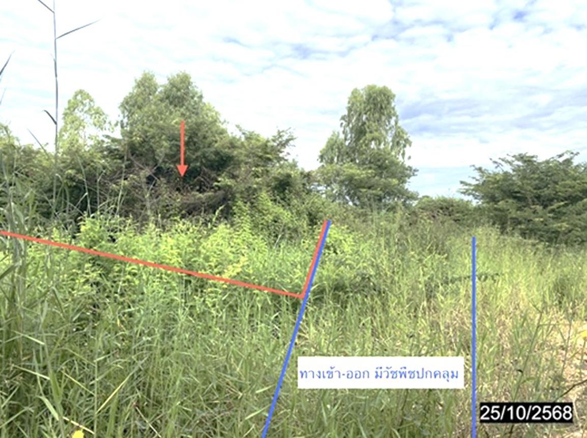 รูป ที่ดินว่างเปล่า 55.3 ตร.วา เมืองพิษณุโลก พิษณุโลก 332,000 - รูปที่ 5/10