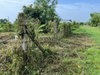 listing thumbnail image 17