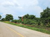 listing thumbnail image 27