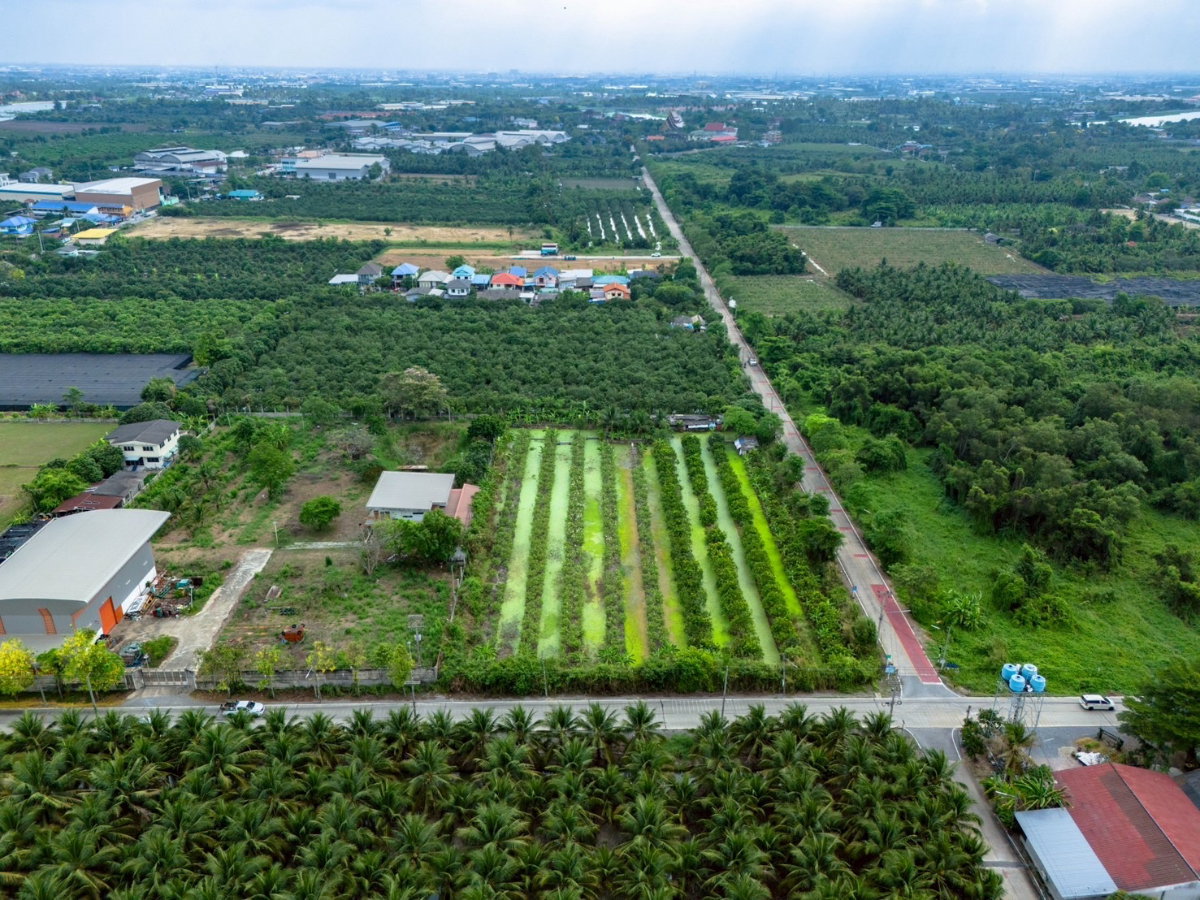รูป 🌿 ขายที่ดินใกล้วัดท่าไม้ เริ่ม 700,000 ต่อรองได้  - รูปที่ 4/6