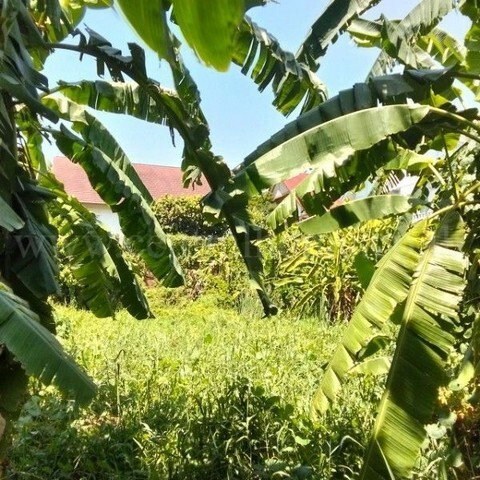 รูป ที่ดินเปล่า 347 ตร.ว ถมแล้ว ซอยร่วมใจพัฒนา บางขุนกอง ใกล้โฮมโปรราชพฤกษ์ นครอินทร์ - รูปที่ 11/15