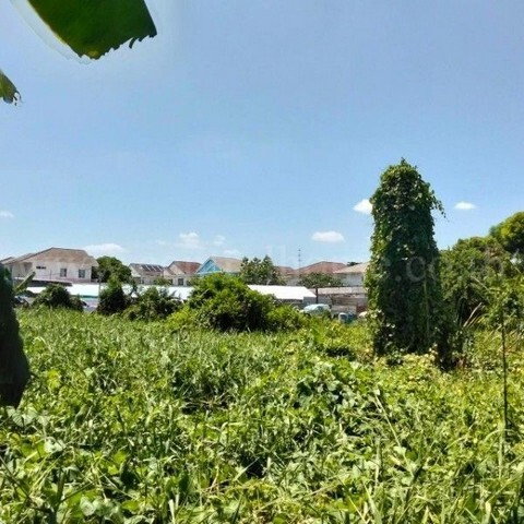 รูป ที่ดินเปล่า 347 ตร.ว ถมแล้ว ซอยร่วมใจพัฒนา บางขุนกอง ใกล้โฮมโปรราชพฤกษ์ นครอินทร์ - รูปที่ 9/15