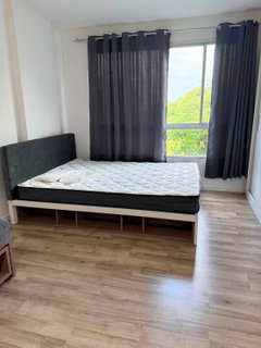รูปภาพ ให้เช่า ดีคอนโด แคมปัส รังสิต 2 🏡 มีเครื่องซักผ้า พร้อมอยู่ ‼️ #ตอบแชทไว🔥🔥 รหัส M2288