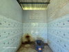 listing thumbnail image 41
