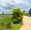 listing thumbnail image 3