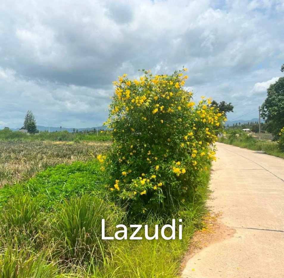 รูป SOI 112 Area : 5 rai of beautiful sloping land - รูปที่ 4/4