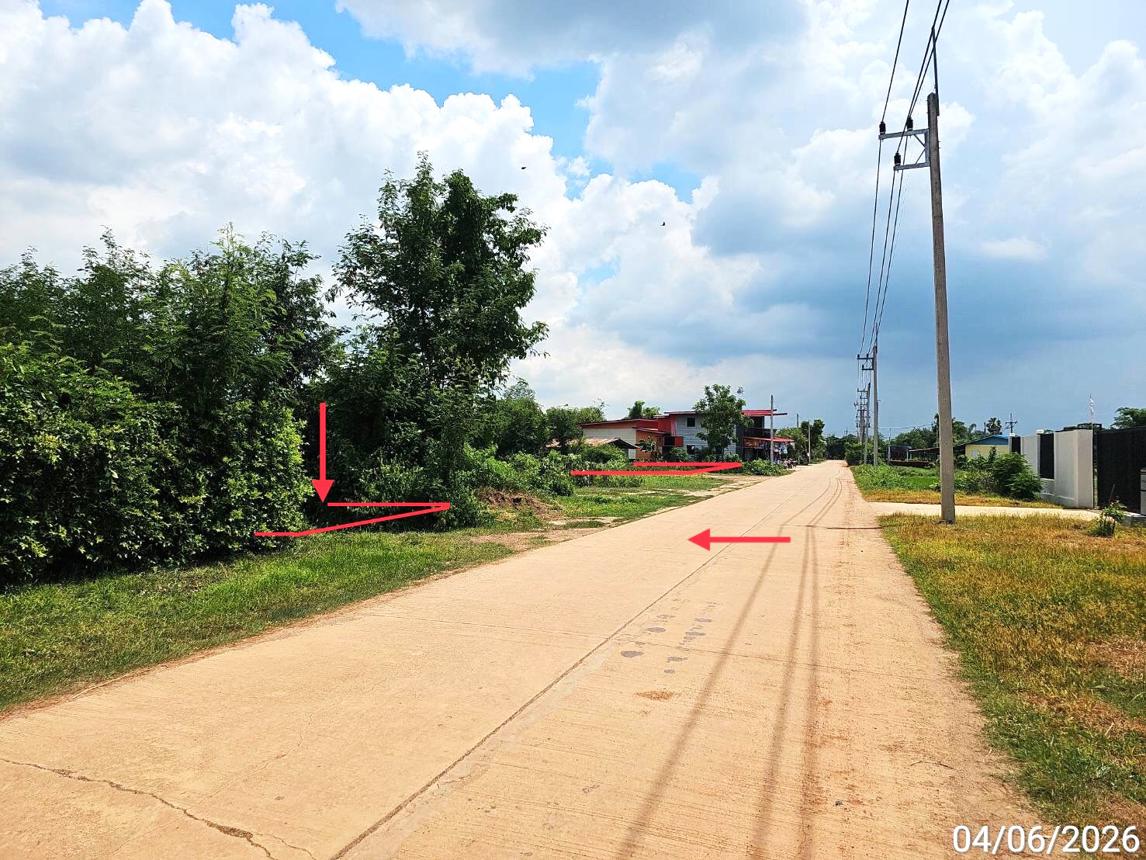 picture LAND 3912.5 Sq.w. Bang Rakam Phitsanulok for 1.8M - 11/18