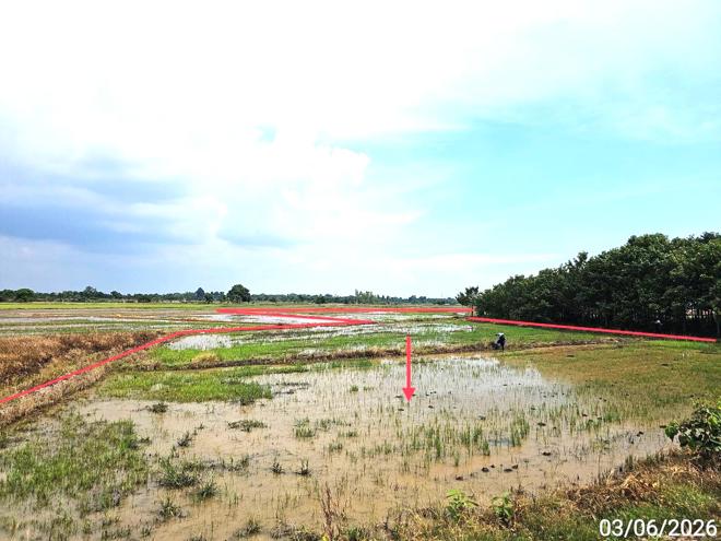 picture HOME 4565.6 Sq.w. Wang Thong Phitsanulok for 4.1M - 16/38