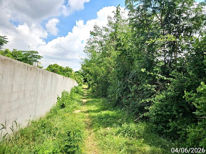 picture LAND 3912.5 Sq.w. Bang Rakam Phitsanulok for 1.8M - 6/18