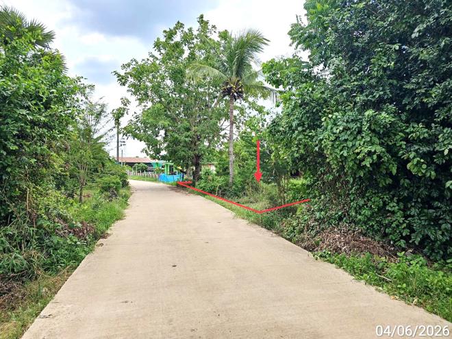 picture LAND 3912.5 Sq.w. Bang Rakam Phitsanulok for 1.8M - 2/18