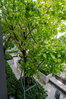 listing thumbnail image 46