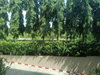 listing thumbnail image 12