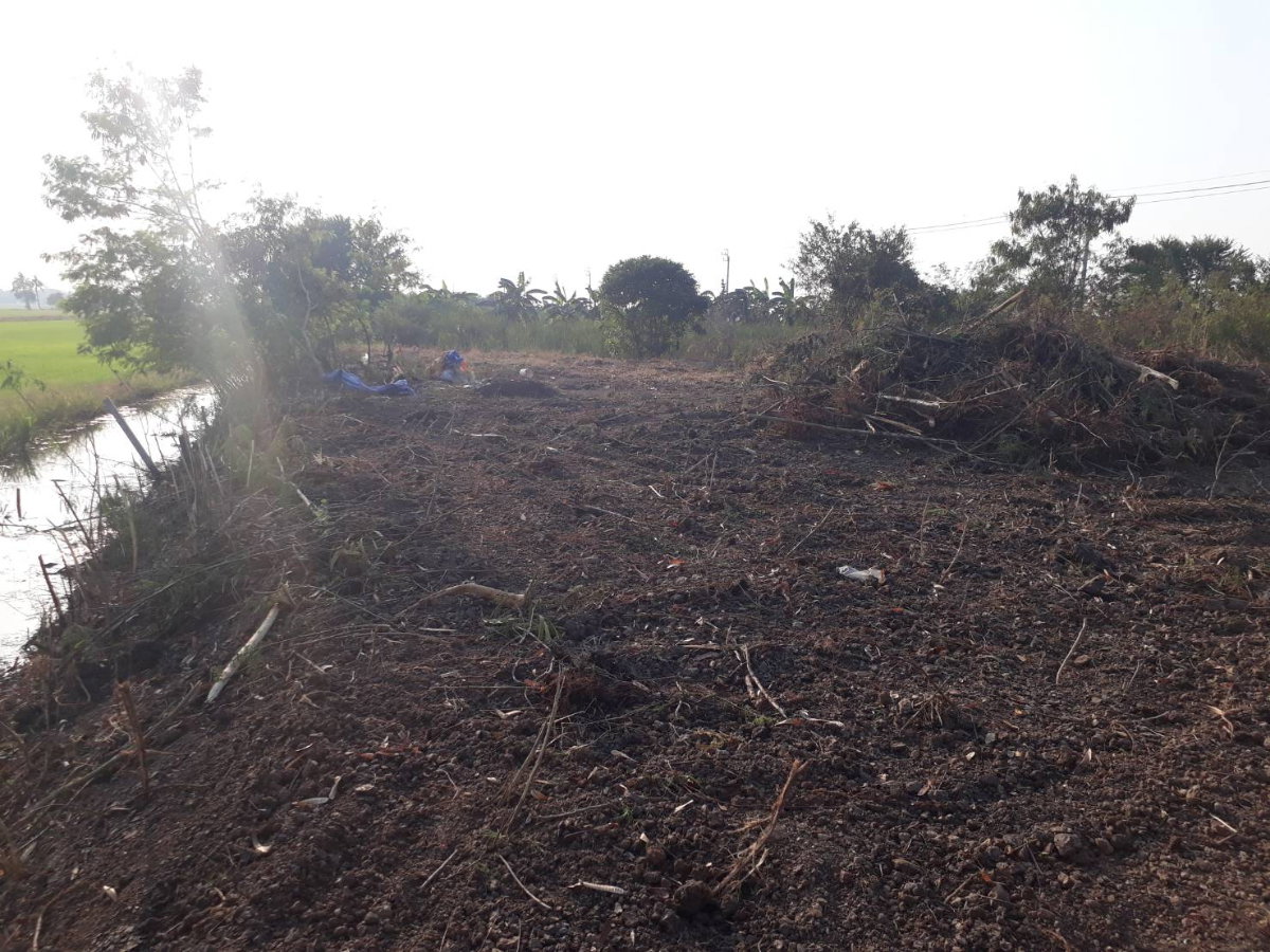 picture Land For Lease 500 Sq.Wah ***only 1,000 THB/mo.*** in Bangbuathong  - 4/6